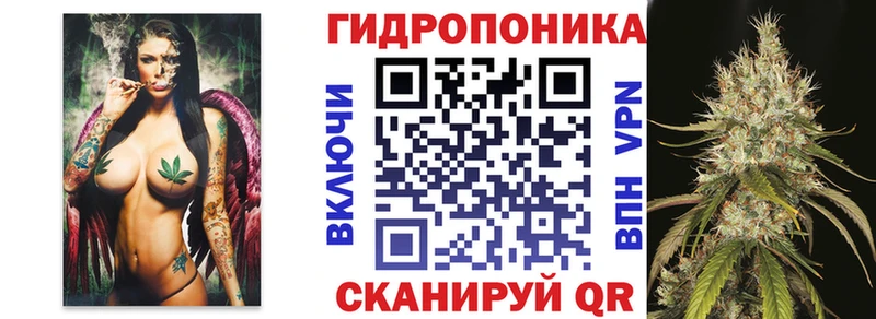 Купить закладку Бошки Шишки  КОКАИН  Гашиш  Меф  Дмитриев