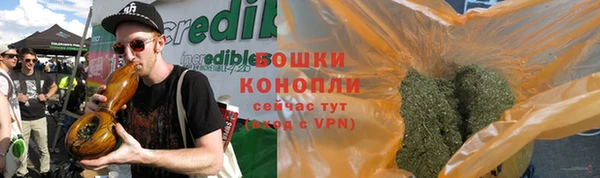 индика Инсар