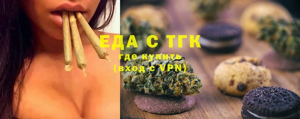индика Инсар