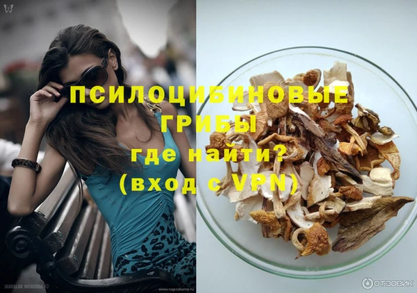 индика Инсар