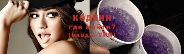метадон Инта
