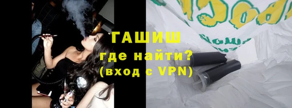 индика Инсар