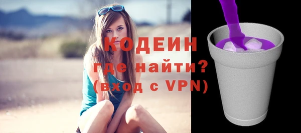 метадон Инта