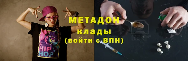 индика Инсар