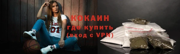 спайс Каменка