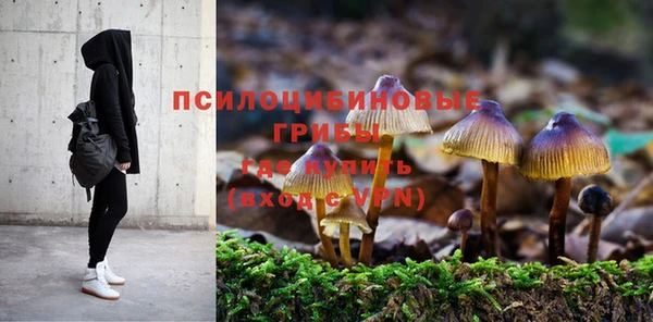 а пвп мука Каменногорск