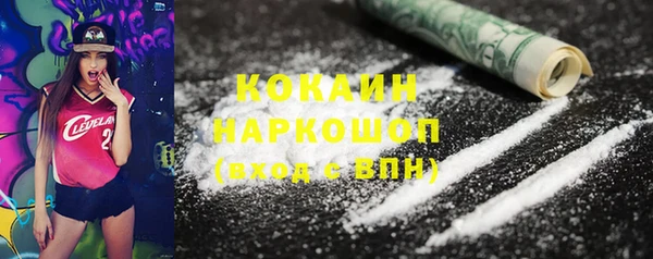 спайс Каменка