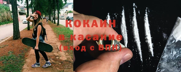 спайс Каменка