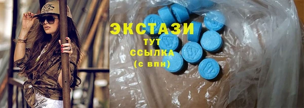 индика Инсар