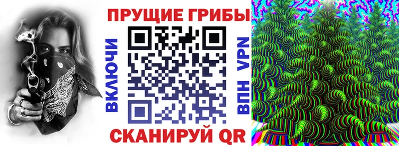 Купить  Дмитриев  Галлюциногенные грибы Cubensis 